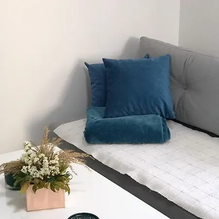 Milica Apartman *